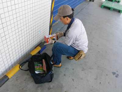 食品廠老鼠防治方案，早用早省心 清潔服務助您無憂經營